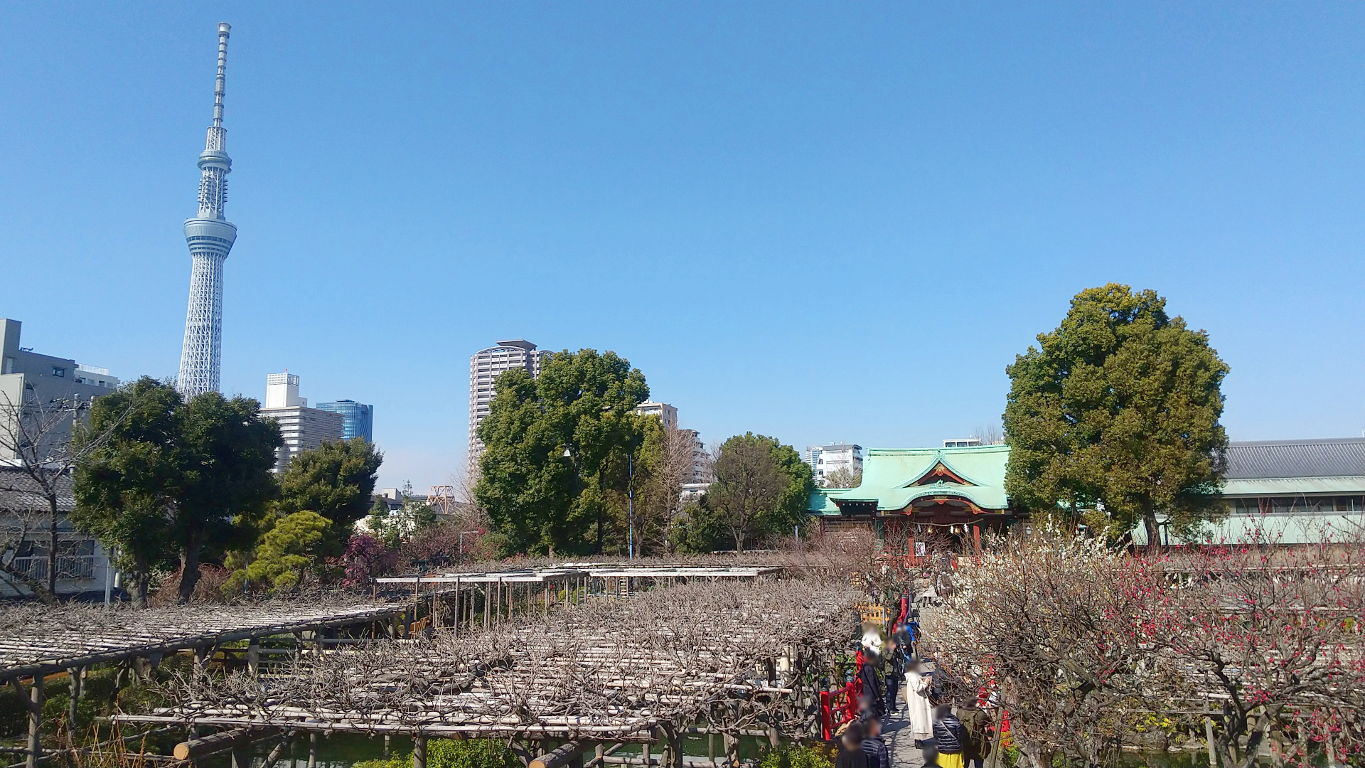 東京「亀戸天神とスカイツリー」2022初春-1004