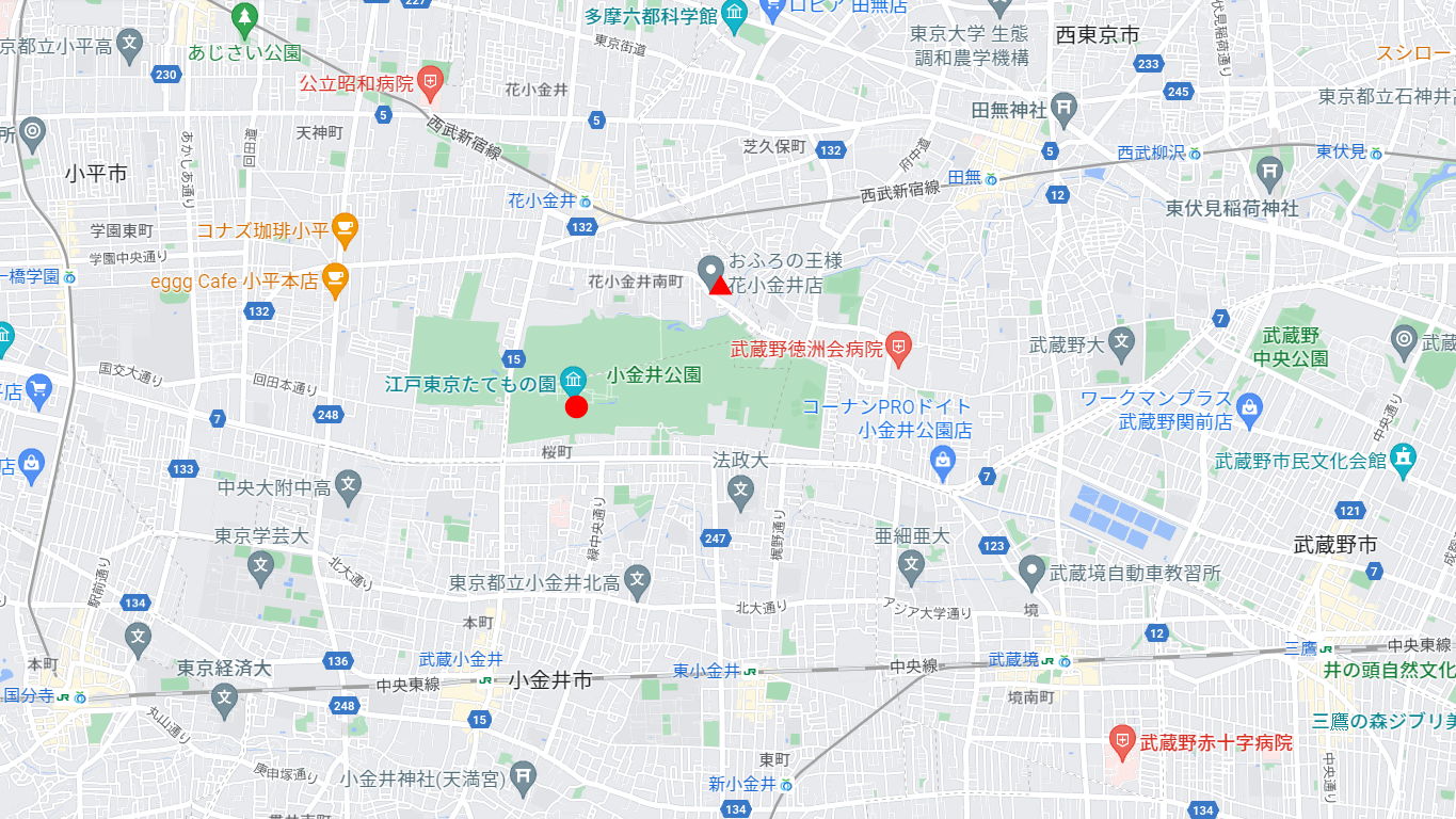 東京「武蔵野の春を満喫★小金井公園」2022春-1002