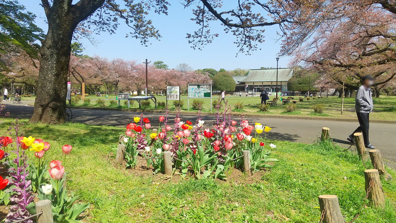 東京「武蔵野の春を満喫★小金井公園」2022春-1003