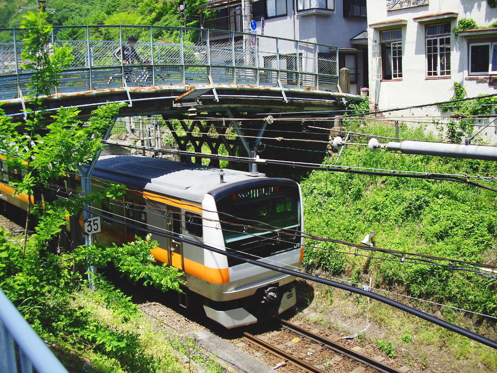 東京・JR青梅線「奥多摩のE233系」2010春-1002