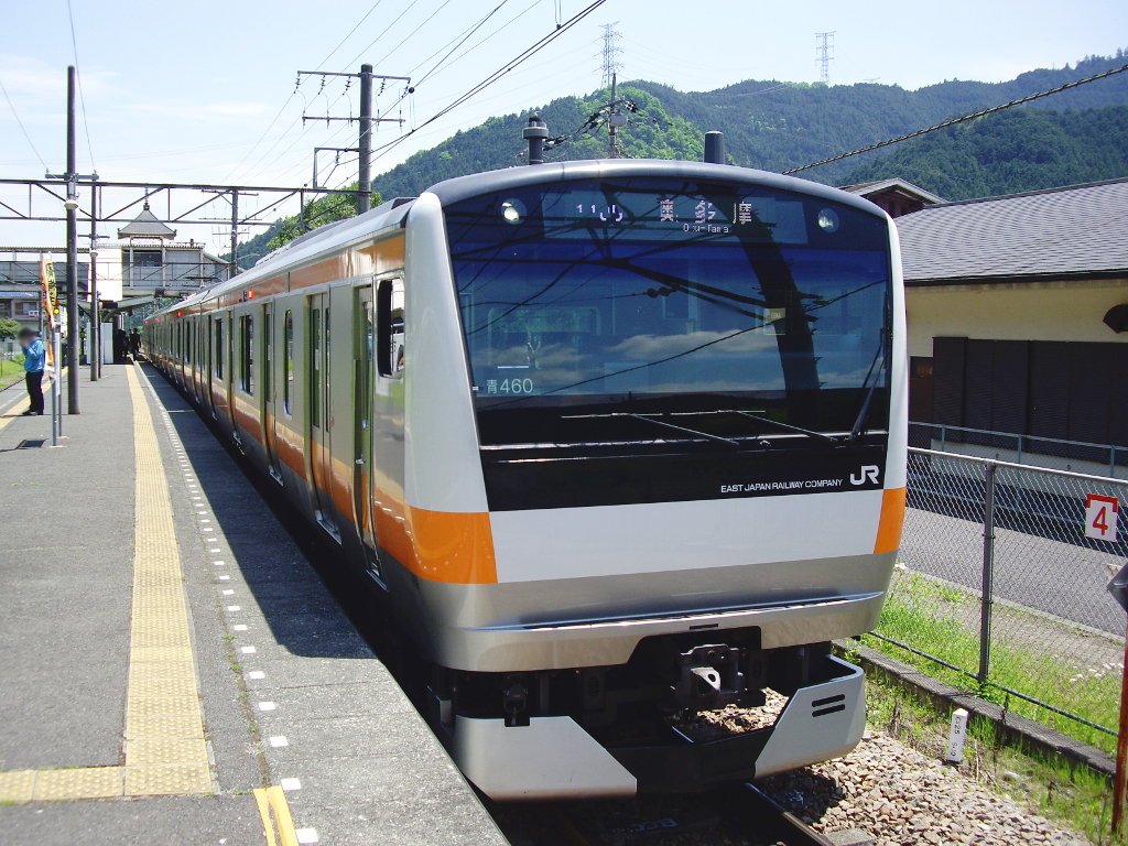東京・JR青梅線「奥多摩のE233系」2010春-1003