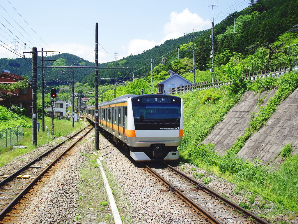 東京・JR青梅線「奥多摩のE233系」2010春-1004
