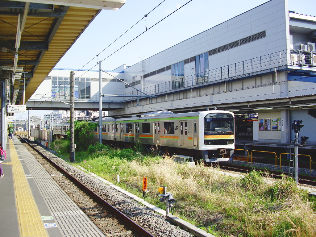 東京・JR青梅線「奥多摩のE233系」2010春-1013