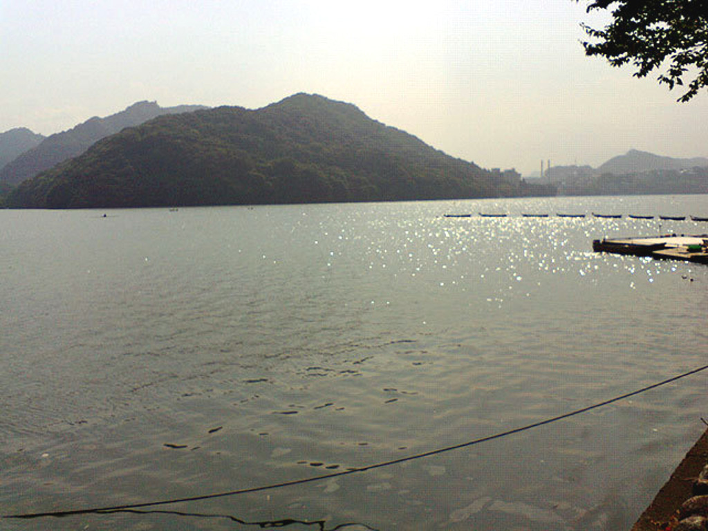 神奈川・とろとろ看板 at 相模湖2008夏-1003