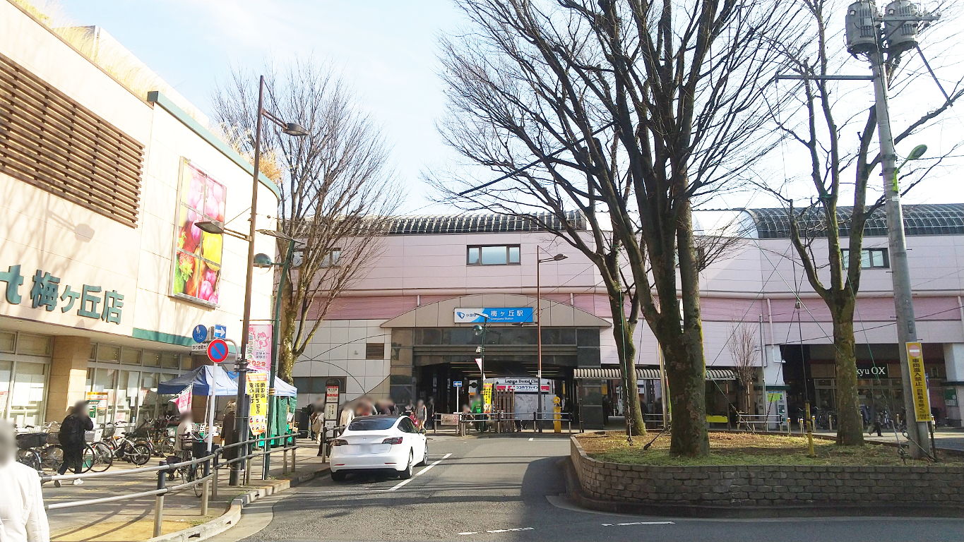 東京都世田谷区「梅ヶ丘・羽根木公園の梅」2022春-1002 東京都世田谷区「梅ヶ丘・羽根木公園の梅」2022春-1002