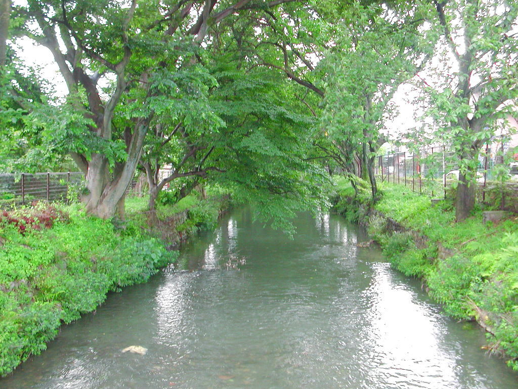 東京・武蔵砂川「神秘の交差点・玉川上水」2008夏-1002
