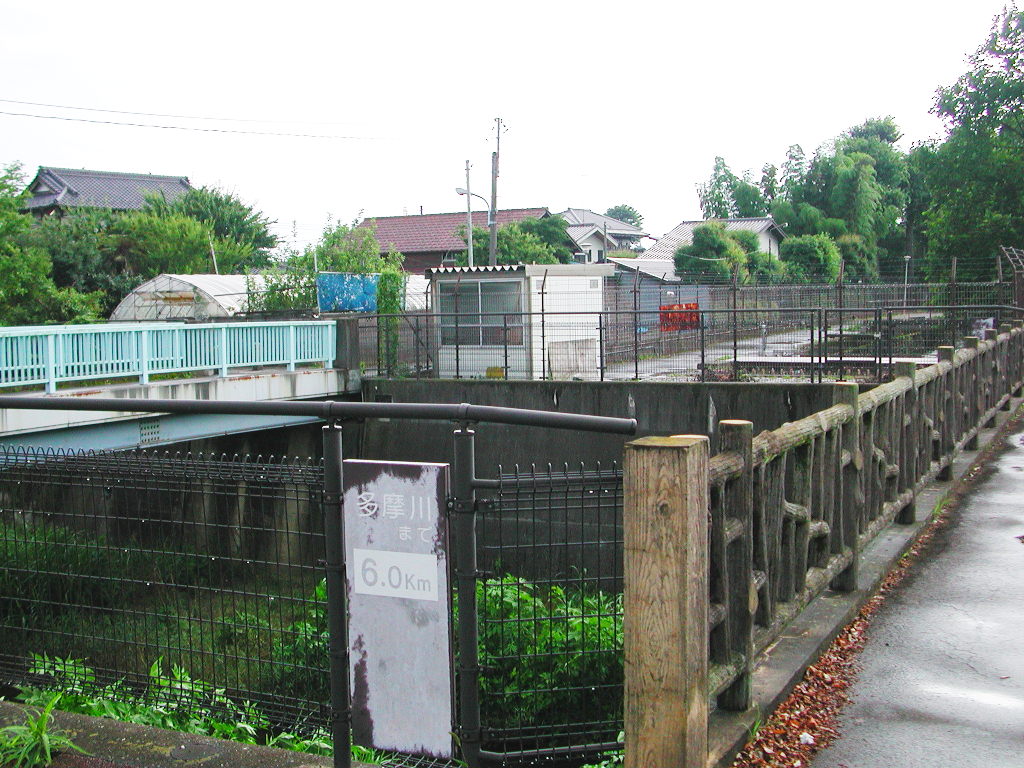 東京・武蔵砂川「神秘の交差点・玉川上水」2008夏-1005