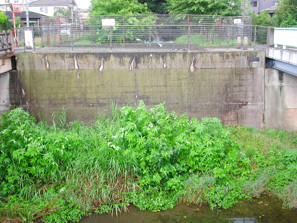 東京・武蔵砂川「神秘の交差点・玉川上水」2008夏-1011